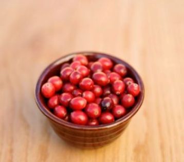 Natural Antiboitics - Cranberry