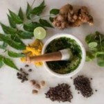 The Best Ayurvedic Treatments for Diabetes