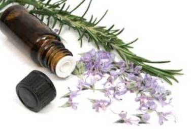 Herbal Tinctures for Weight Loss