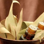 Winter and The Benefits of Eucalyptus
