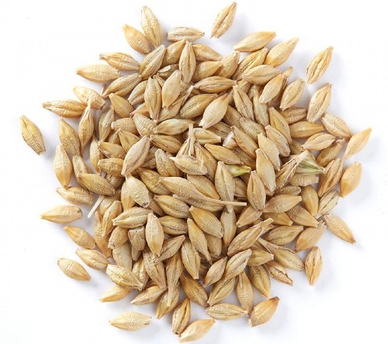 oats and barley
