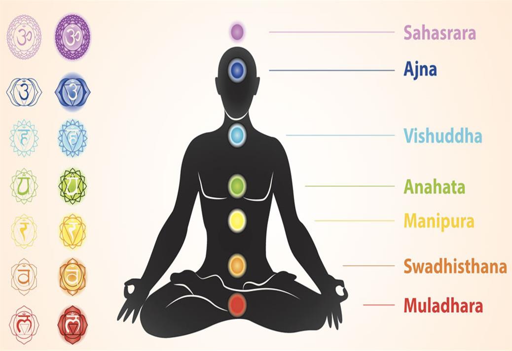 The Seven Chakras of the Human Body
