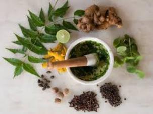 The Best Ayurvedic Treatments for Diabetes