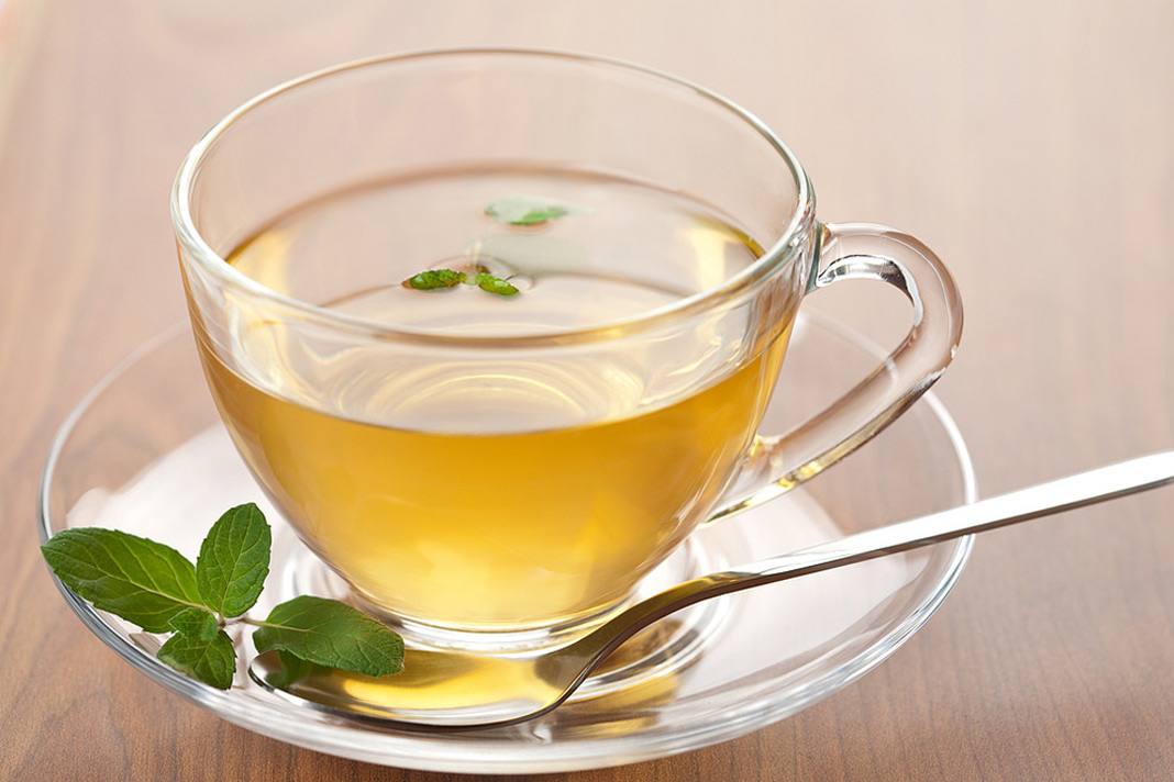 Catnip Tea – Explore The Many Benefits
