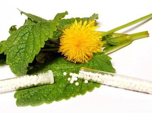 homeopathic treatment for piles