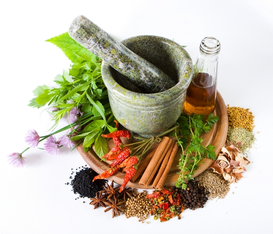 facts about herbal medicine